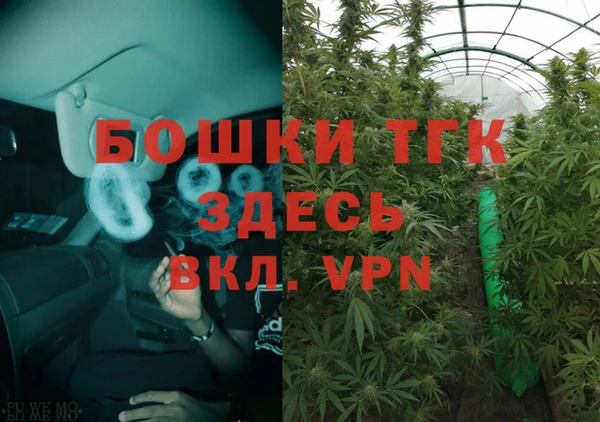 МДПВ Алексин