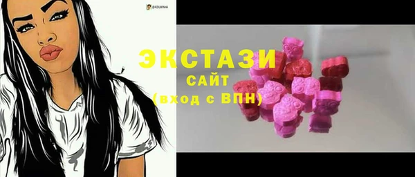 ECSTASY Ельня