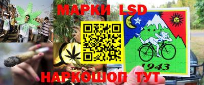 ешки Краснознаменск