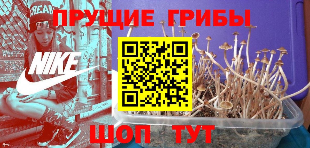 Псилоцибиновые грибы Magic Shrooms Красноярск