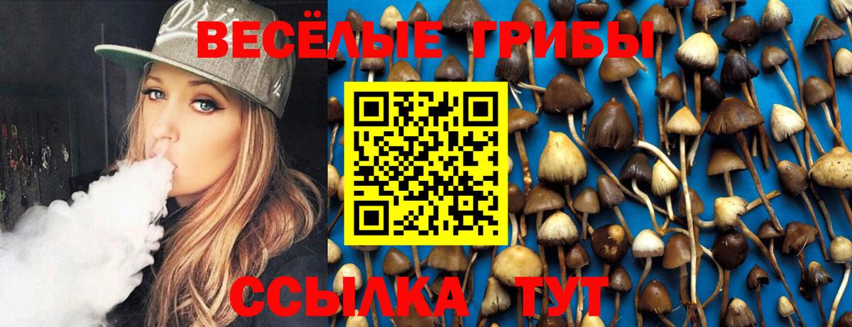 Красноярск  Псилоцибиновые грибы Psilocybe  Вход с VPN  Галлюциногенные грибы прущие грибы 