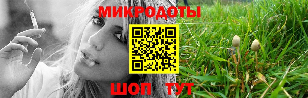 APVP Красноярск